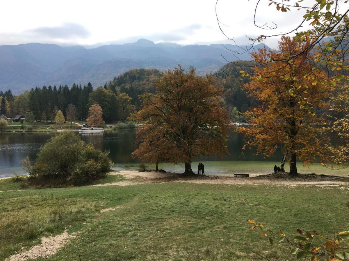Apartma Neva Bohinj Exterior foto